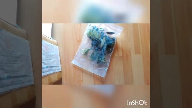Rozpakowanie paczki bucephalandra z Borneo.