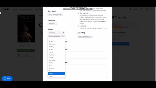 How to use Inkitt Website?
