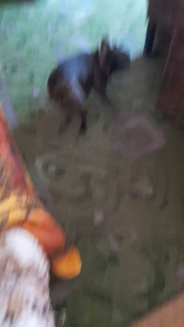 😁