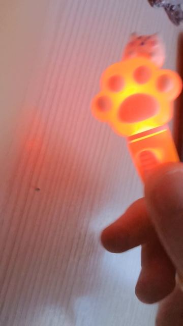 VID_20250321_172133.mp4