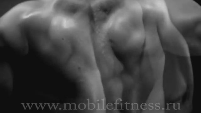 Вся правда о фитнесе.Mobilefitness.ru