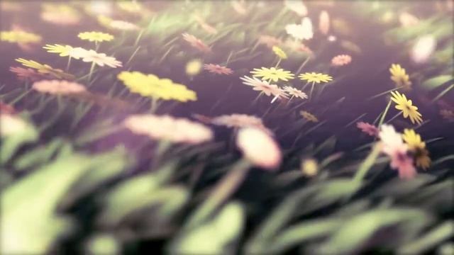 Flower Animation using Adobe After Effects Showcase