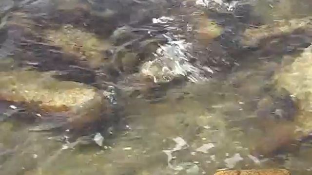 Лантан "Равно любовь".flv