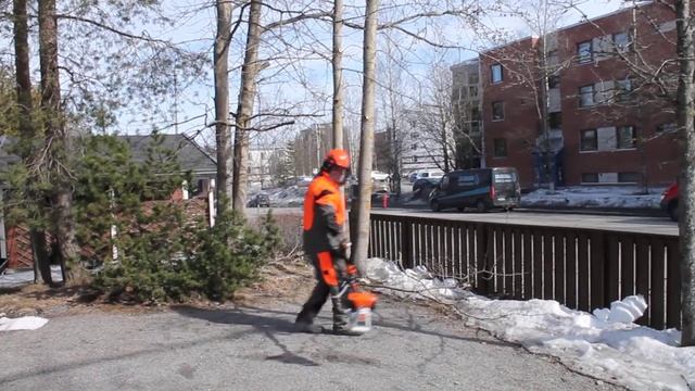 Korkeitten pihaoksien pudottelua n 5 metriin Pihapuiden leikkaukset Talonmiespalvelu@gmail com v2