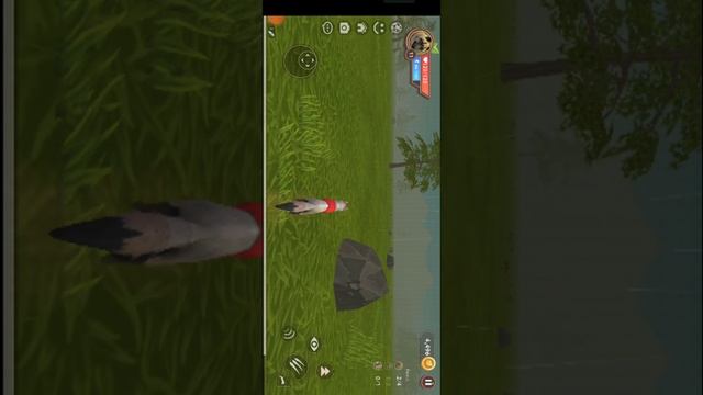 😉Играем в игру ☺