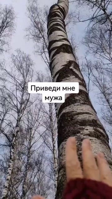 #ольгашепоток #ледишепоток #шепоток