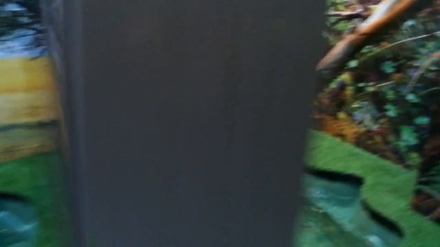VID 20170723 114009