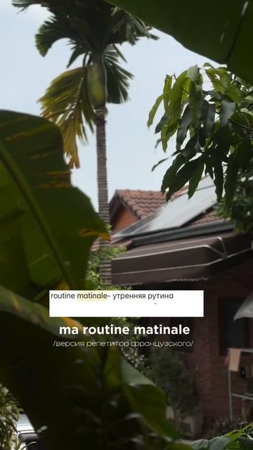 Утренняя рутина по французски ☕️
