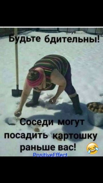дачный сезон начинается 🙂