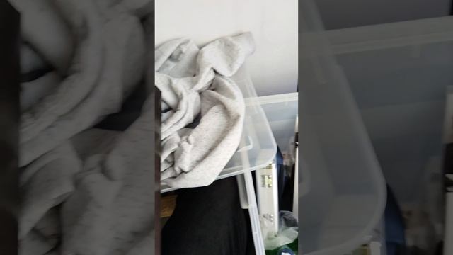 DJ Q100 в галерее Жизнь Цвета