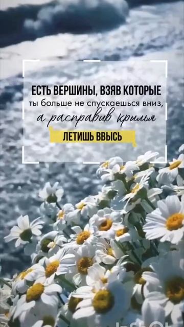 Летите ввысь !!🌞⭐🌜👍