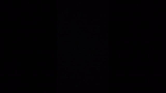 я купил щотку для чирипахи и плохая новости змея вирноласи  Артём456к