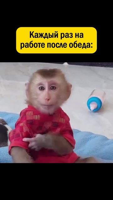 👉 ПОДПИШИСЬ - у нас весело 😁