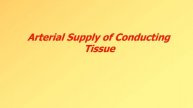 Blood supply of the heart