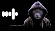 city slum -new english rington || GANGSTAR BGM BEATS