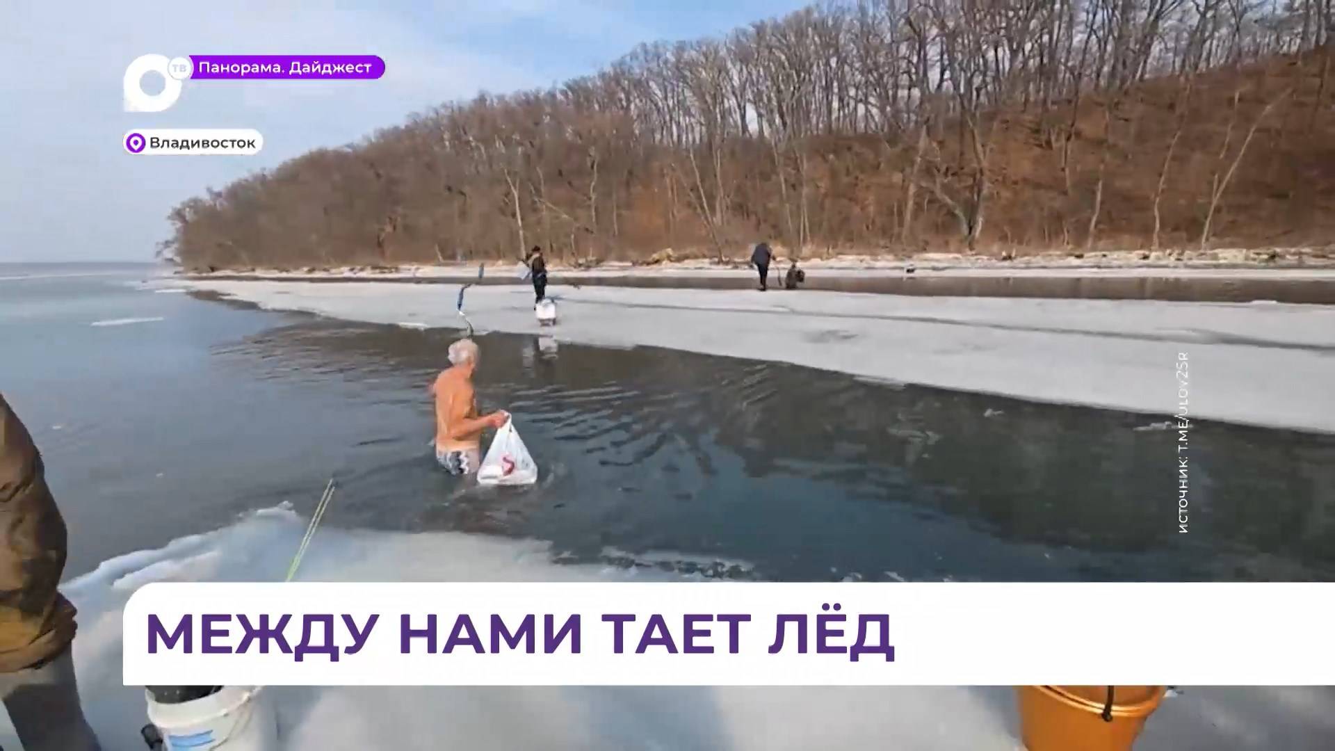 Рыбаки в погоне за селёдкой открыли купальный сезон на полуострове Де-Фриз