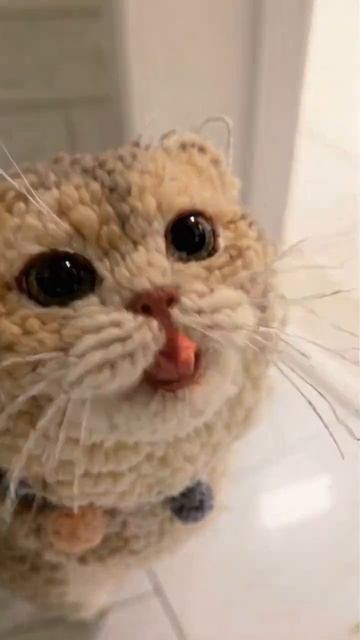 Вязаный кот