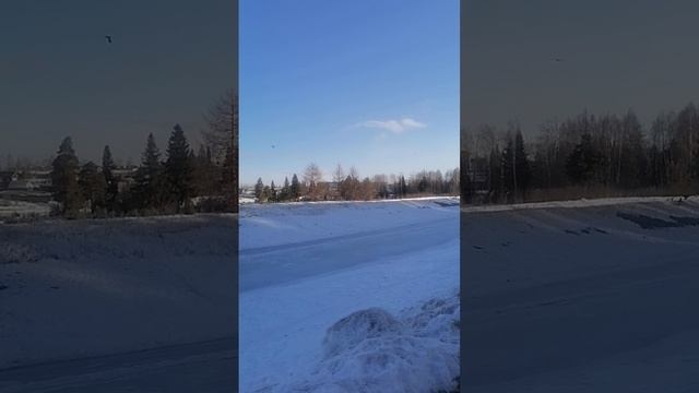 21-03-2025
