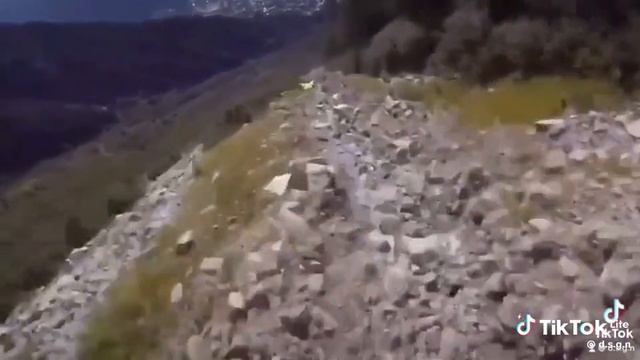 скала и винксют