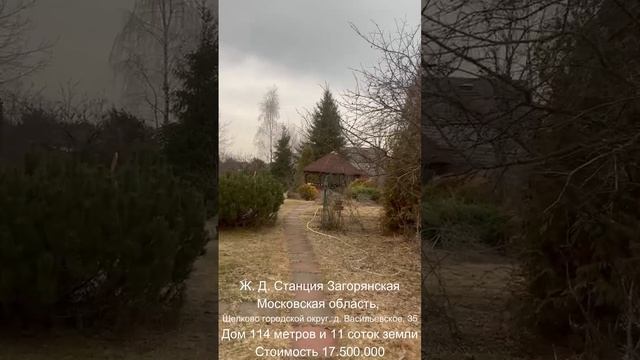Московская область, городской округ Щёлково, деревня Васильевское, 35