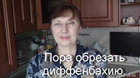 Пора обрезать диффенбахию.