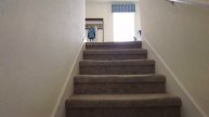 AFFORDABLE RESORTY STYLE AMMENITIES IN WESLEY CHAPEL