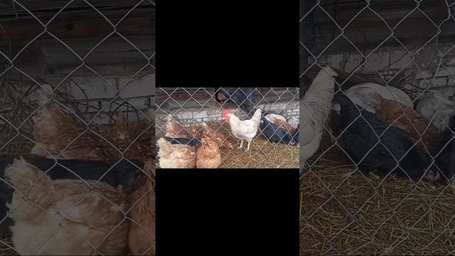 Город - это машина по выкачиванию денег.