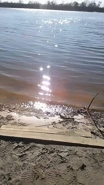VID_20250320_134953.mp4