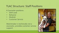 High Volume Dog Adoptions 2.0: Multiple Avenues with a Shelter as a Home Base - conference recordin