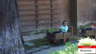 Vlog #5 We visited America's First Theme Park - Knott's Berry Farm