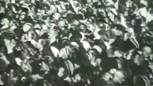 Marxist Worldview - Roots of Marxism