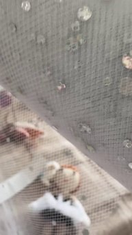 Фигуристка