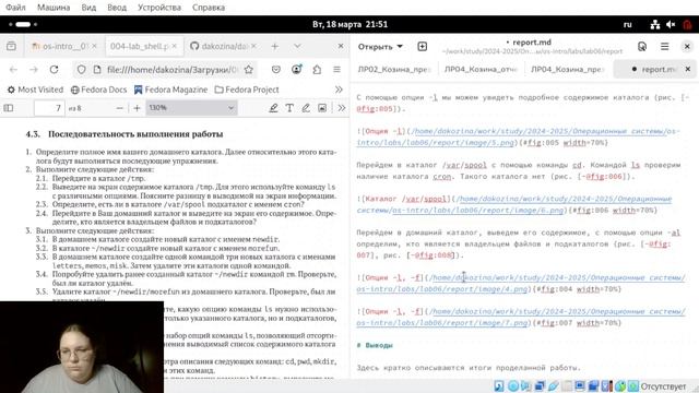 Лабораторная работа №6. Отчет
