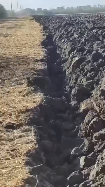 Смешавки.