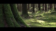 Oppo Reno 7 Pro best cinematic video | Cinematic mode oppo Reno 7