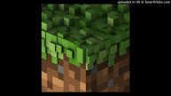 Minecraft - Danny
