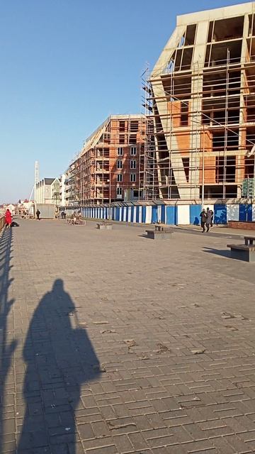 VID20250319173124.mp4