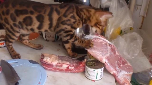 Каким он был...