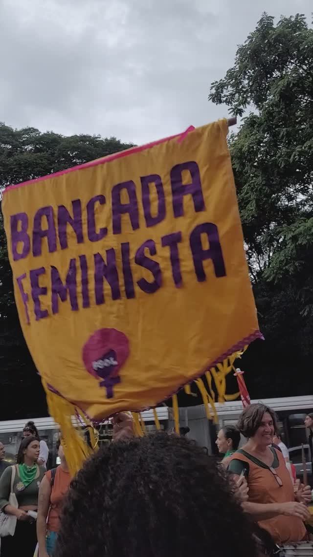 Митинг феминисток центре Сан-Паулу, Бразилия. Телеграм 📱 https://t.me/polina_brazil