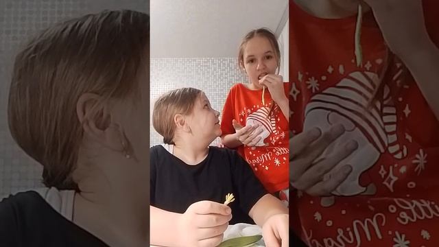 пробую тюльпан