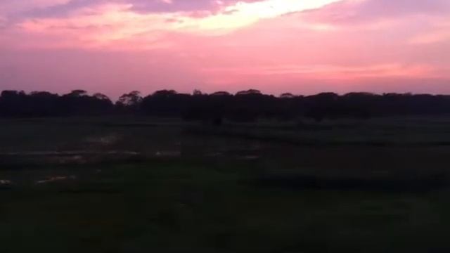 Sunset From Train | #Shorts