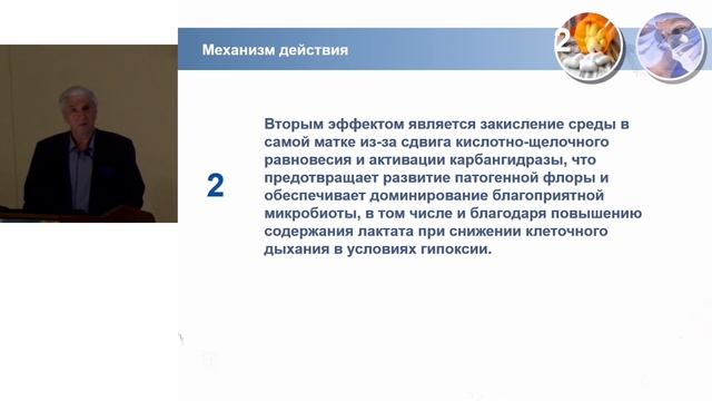 Гипопластический (тонкий) эндометрий - новые возможности решения проблемы в процессе ЭКО