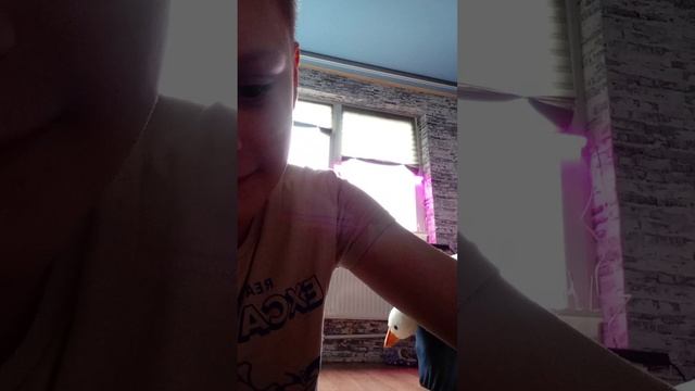 стульчики