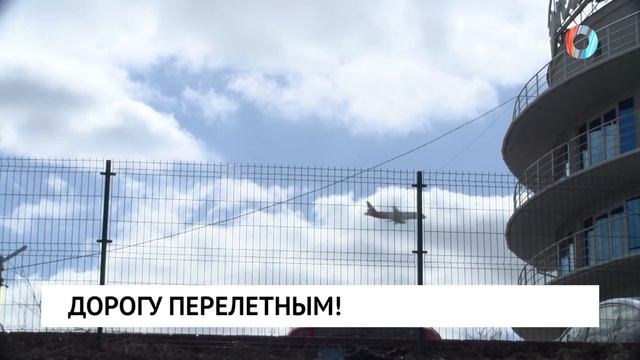 Дорогу перелетным!