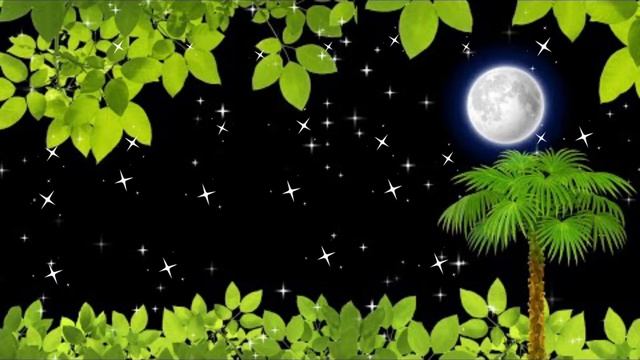 Tree Leaves Falling Black Screen / Background Video Effect / New Template Video Background Hd