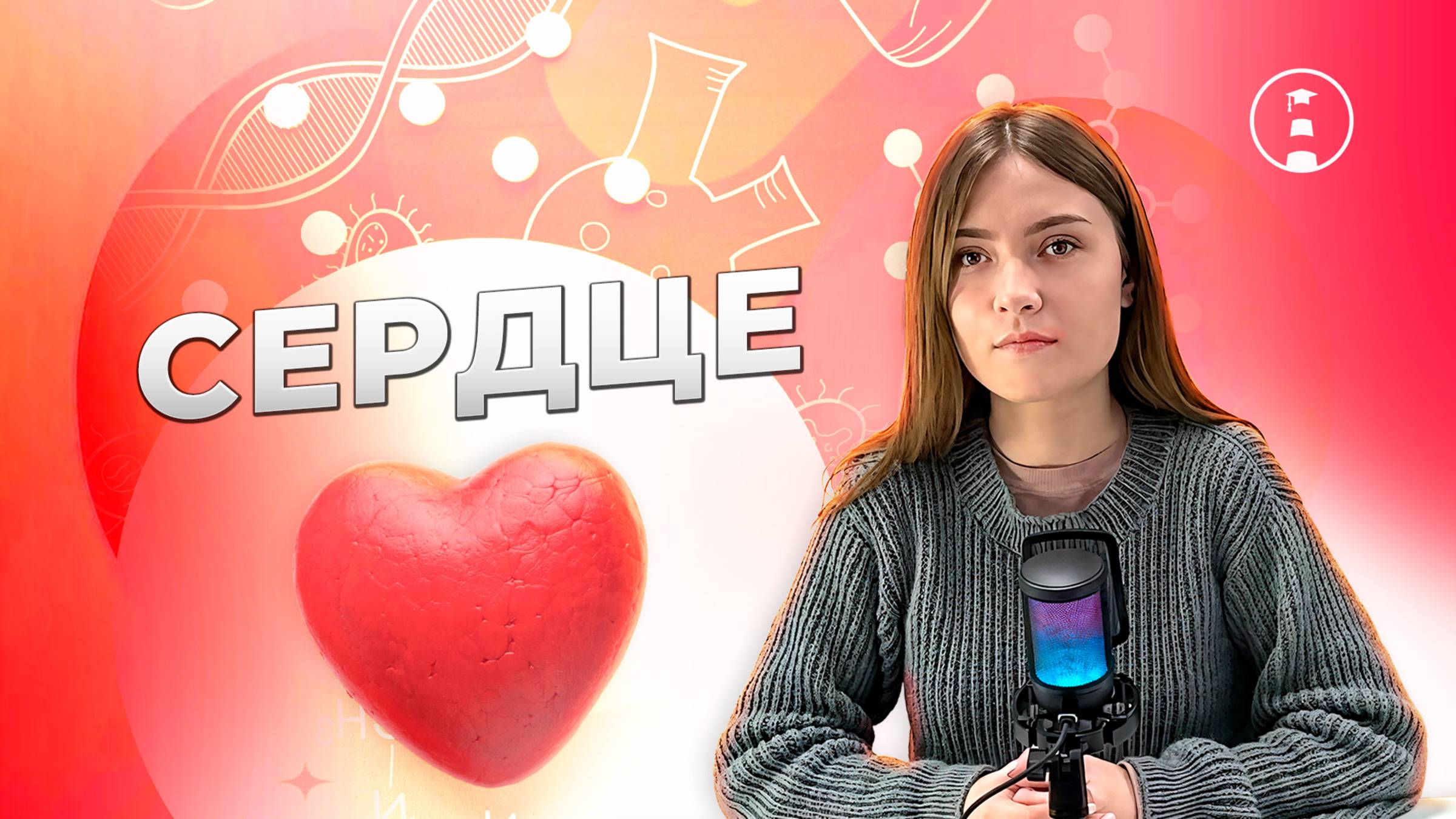 Кровеносная система | ОГЭ | ЕГЭ