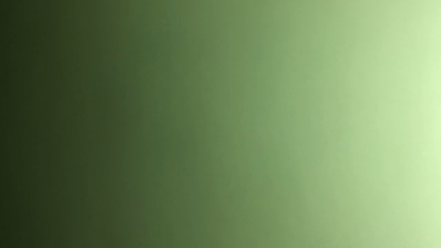 Мечты сбываются