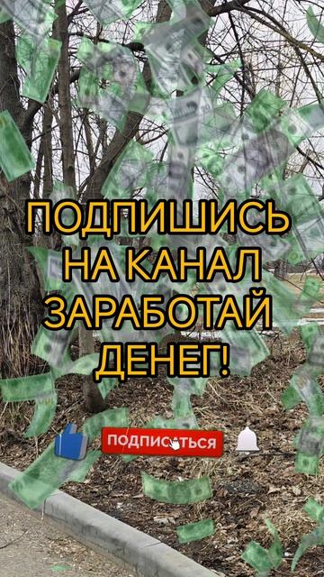 ЗАРАБОТАЙ НА ПОДПИСКЕ!
#заработок #подписка #легкиеденьги #халява #пойдемчепокажу #пчп #денги #работ