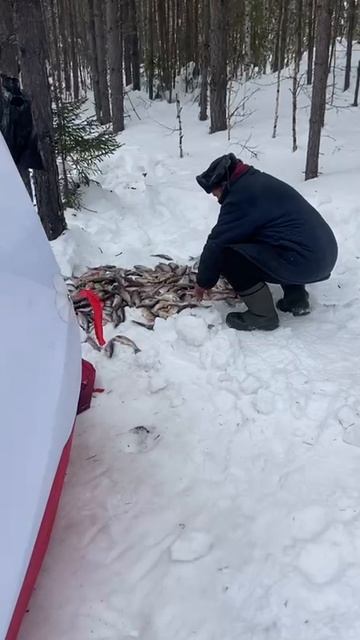Рыбалка .Как все на работе