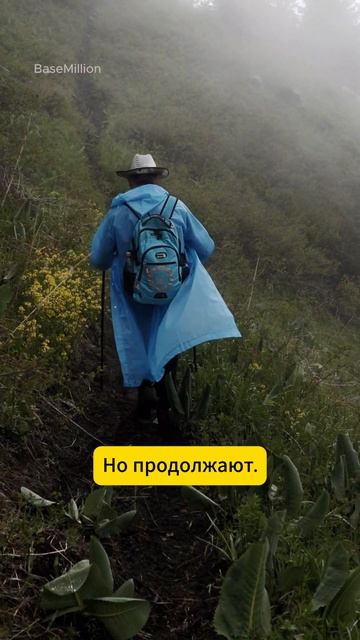 Не сдавайся! #подписка #бизнес #мотивация #саморазвитие #цели